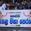 Neluwaesela
