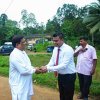 Nilasewana